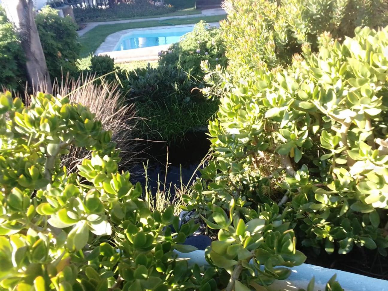 Coco De Mer Self Catering Log 1 Lambert's Bay Bagian luar foto